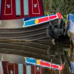 narrowboat Narrowboat Detail